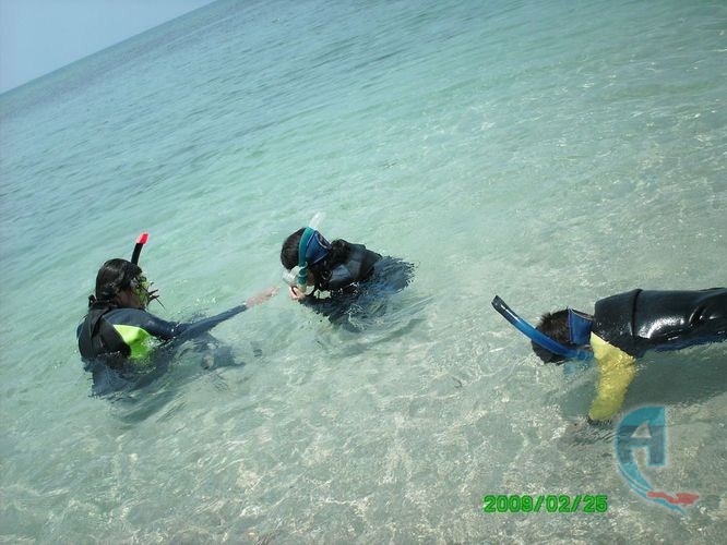 practicas en el arrecife de snorkel